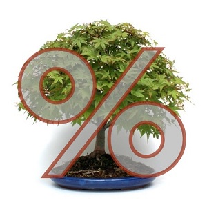 akcios bonsai kedvezmenyes bonsaj